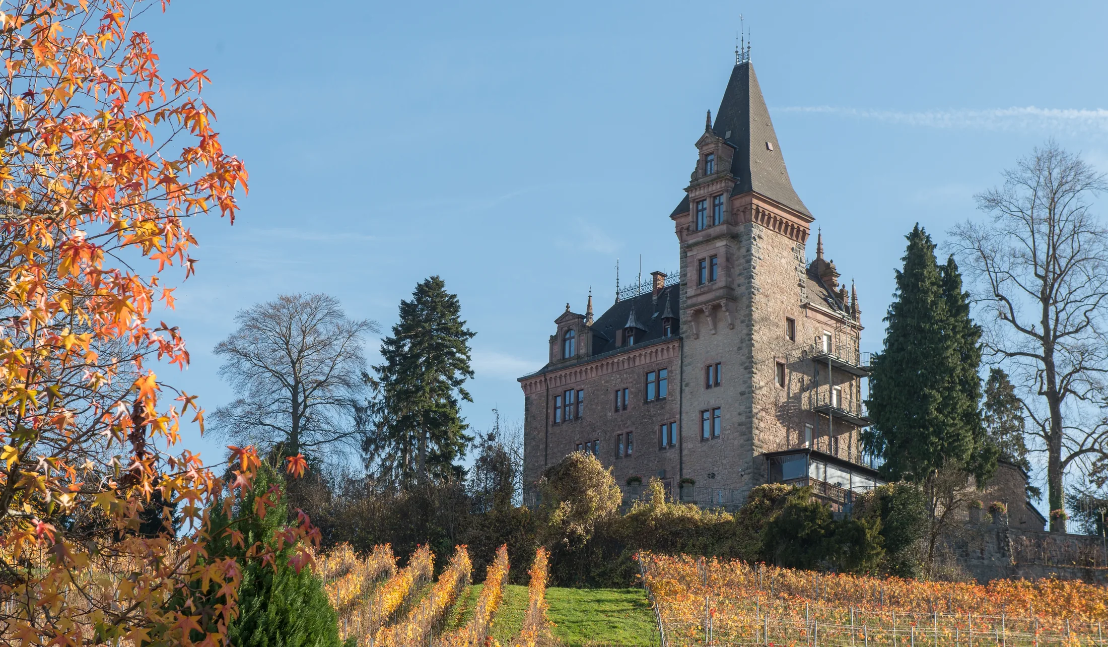 Schloss Rodeck mit Turm über herbstlichen Weinbergen